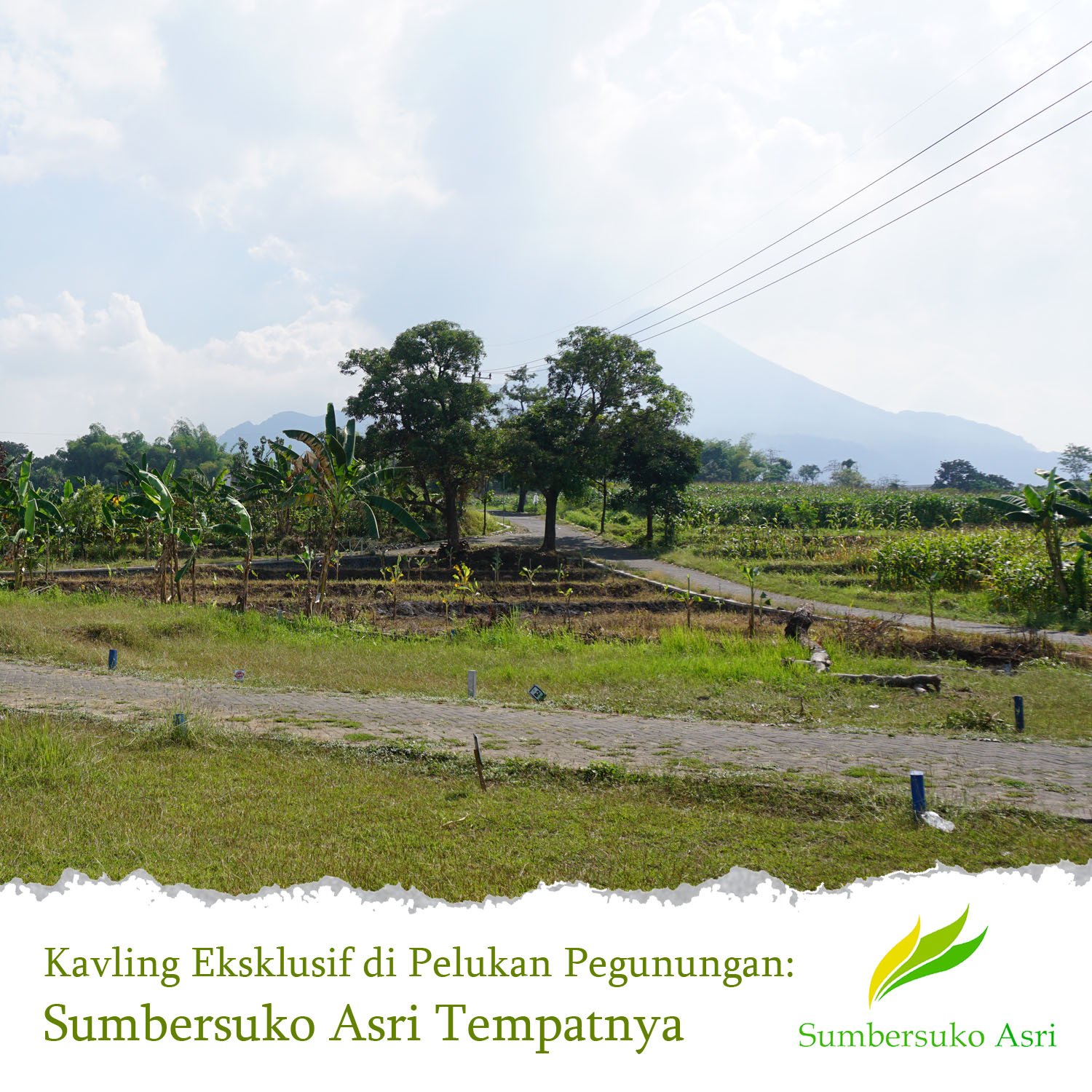 Tanah Kavling Villa Eksklusif di Pelukan Pegunungan: Sumbersuko Asri Tempatnya.