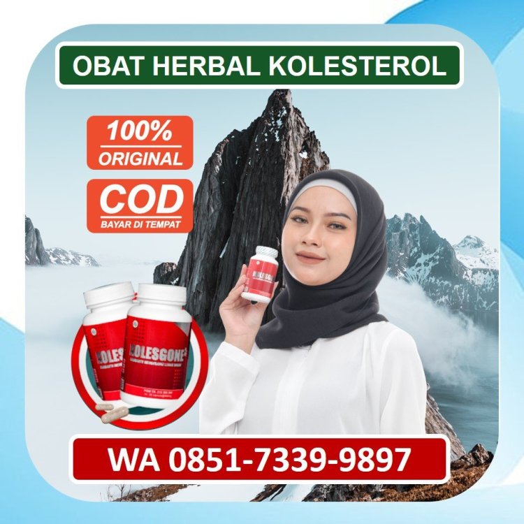 Jual Obat Herbal Kolesterol Kolesgone di Jakarta Utara.jpg