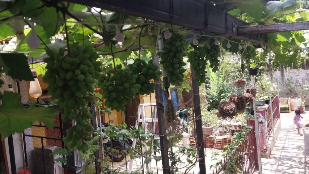 WhatsApp Image 2023-09-25 at 14.21.55.jpeg