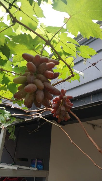 WhatsApp Image 2023-09-25 at 14.21.56 (1).jpeg