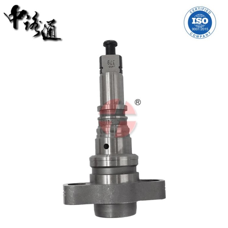 Diesel-Plunger-Assembly-2-418-455-379-wholesale (3).JPG