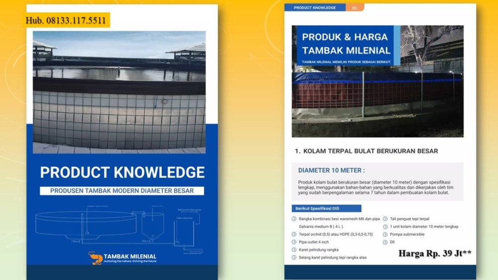 tambak udang vaname air tawar.JPG