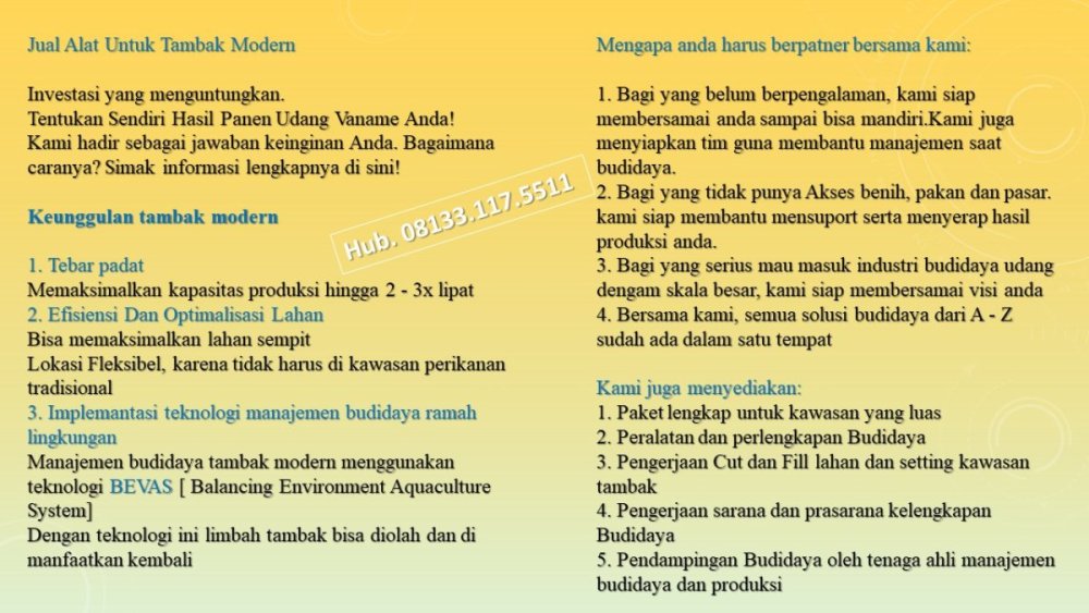 Tambak udang vaname.jpg