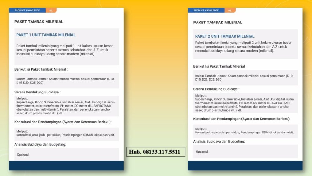 tambak  udang modern.JPG