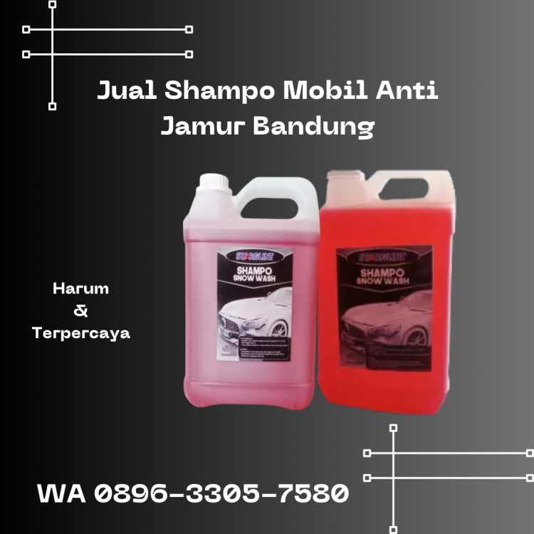 41. Jual Shampo Mobil Anti Jamur Bandung, WA 0896-3305-7580 Aman.png