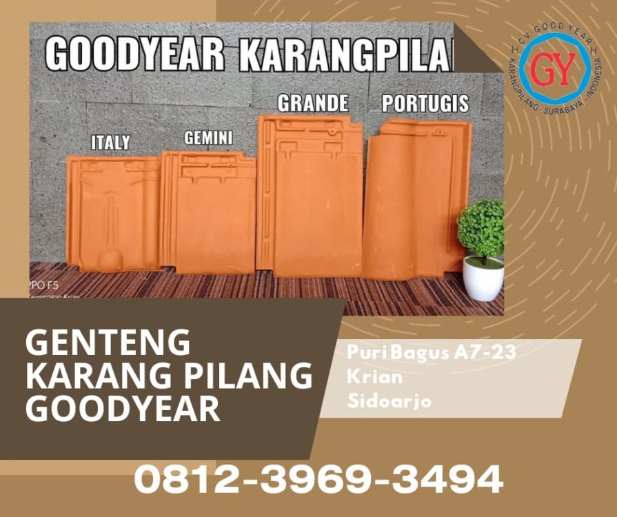 WhatsApp Image 2023-11-08 at 19.09.37.jpeg