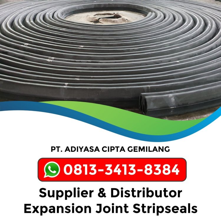 Expansion Joint Stripseals.JPG