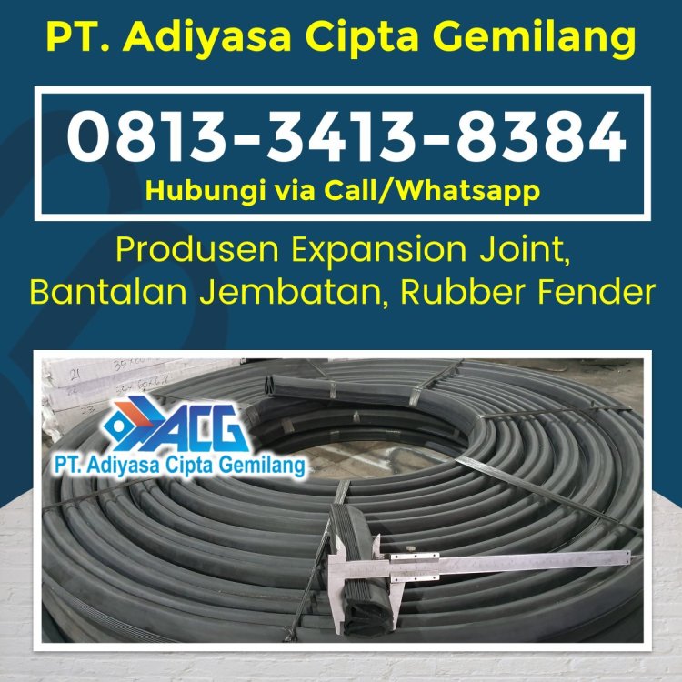 Bearing Pad 2 Hole.JPG