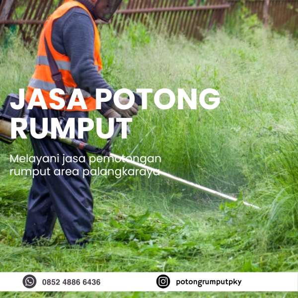 Jasa Potong Rumput di Palangkaraya WA 0852 4886 6436
