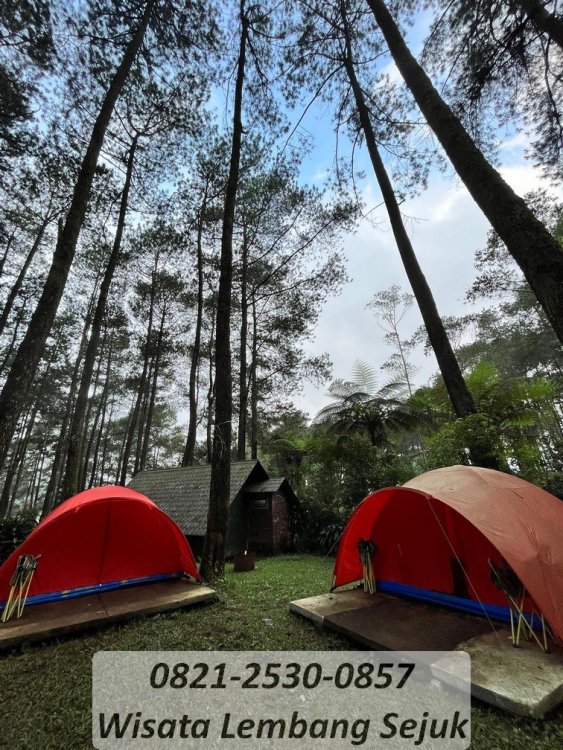 48 paket camping lengkap lembang bandung.jpg
