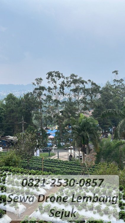 4 Sewa drone di lembang bandung.jpg