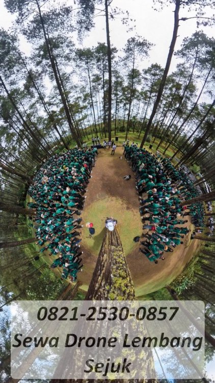 11 Jasa video shooting drone lembang bandung.jpg