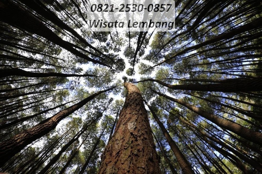 28 paket wisata lembang 1 hari.jpg