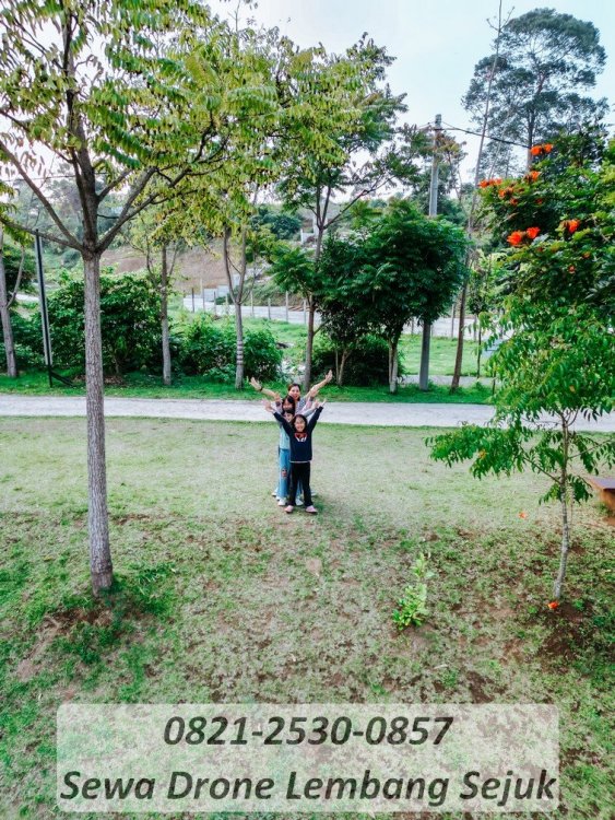 3 Jasa dokumentasi drone lembang bandung.jpg
