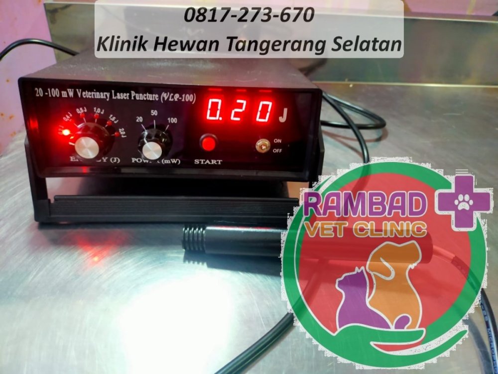 44 dokter hewan tangerang selatan.jpg