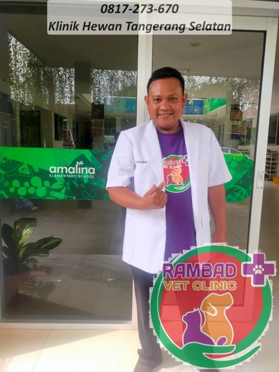 15 dokter hewan tangerang selatan.jpg