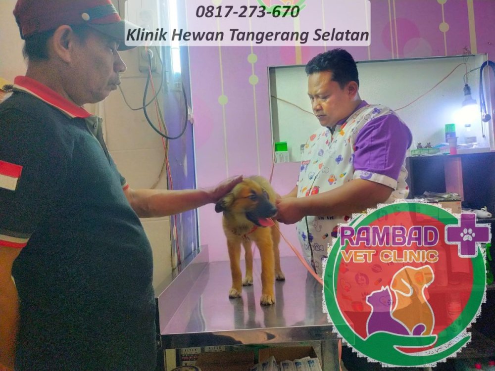 51 dokter hewan tangerang selatan.jpg