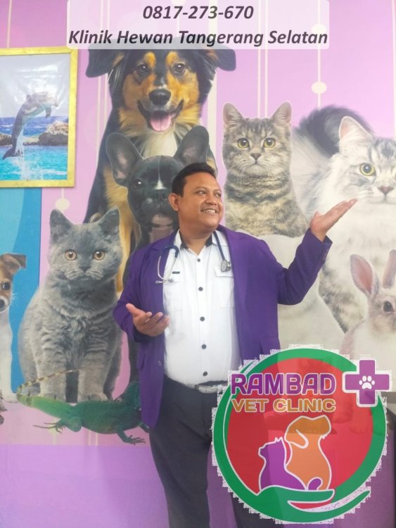 13 dokter hewan tangerang selatan.jpg