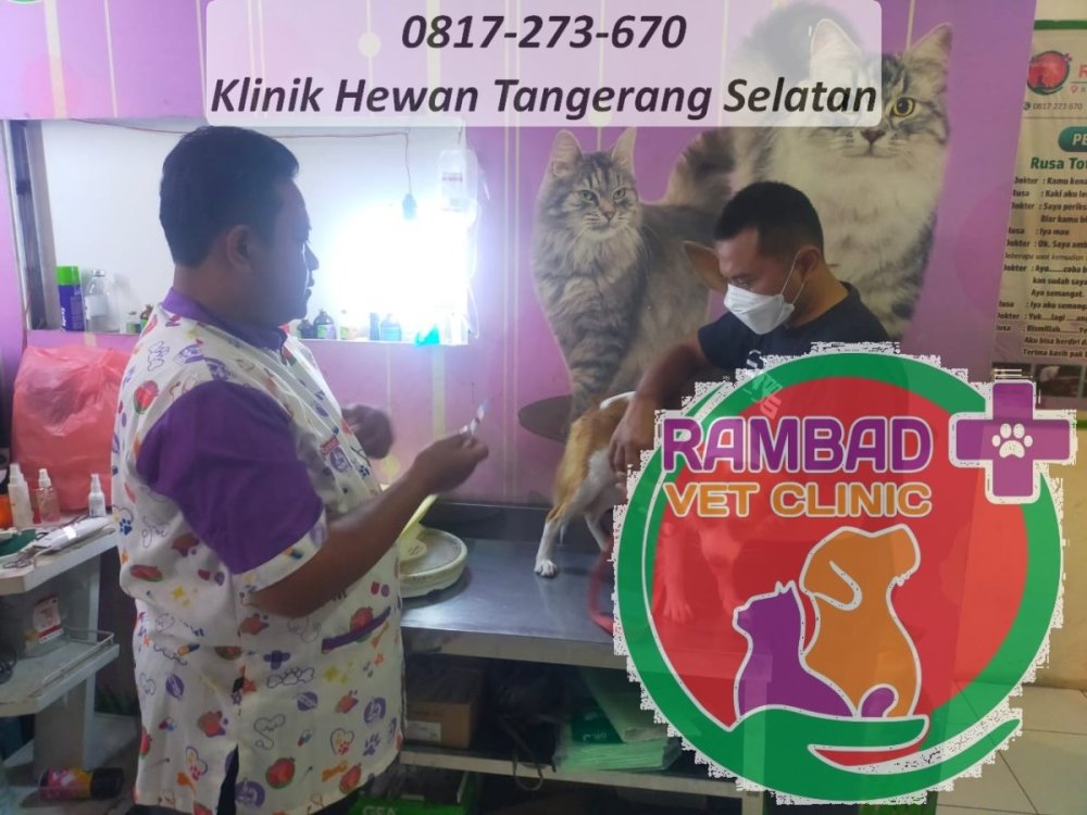 53 dokter hewan tangerang selatan.jpg
