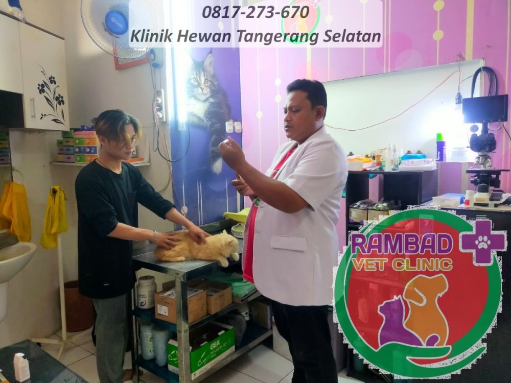 52 dokter hewan tangerang selatan.jpg