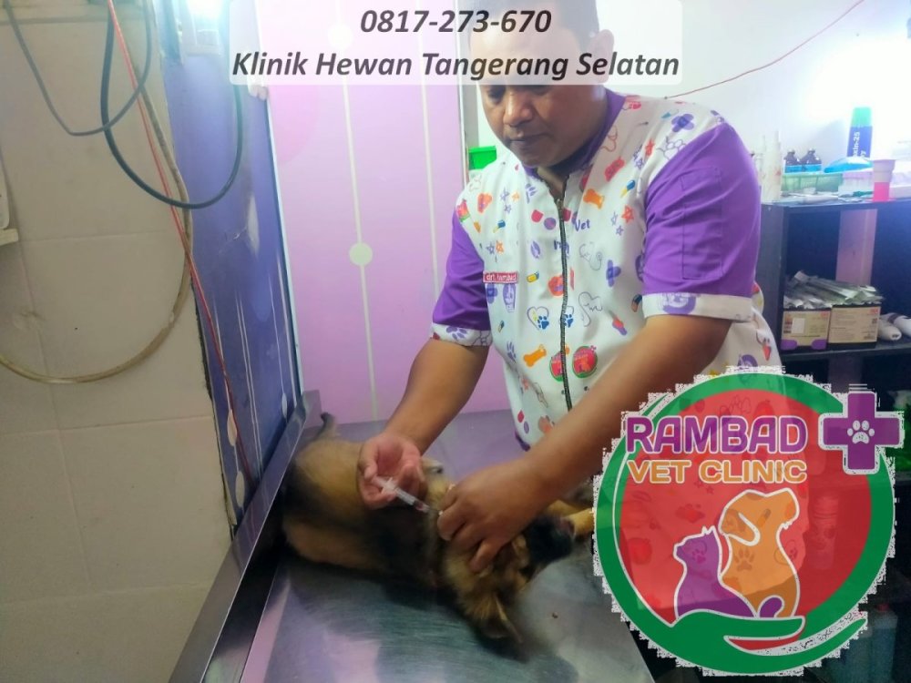 49 dokter hewan tangerang selatan.jpg