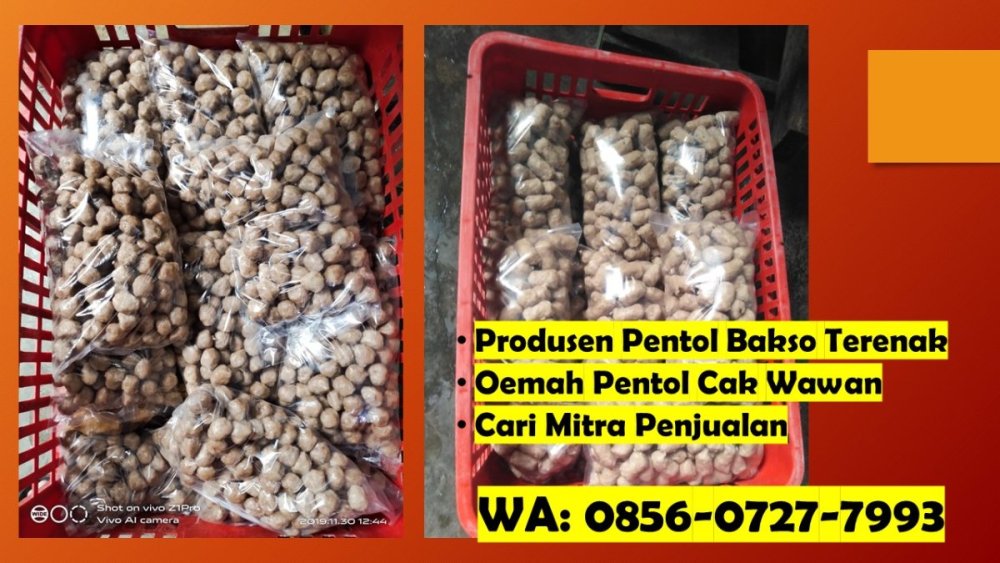 Buka Kemitraan! WA 0856-0727-7993 Pabrik Pentol Bakso Jamur Malang.jpg
