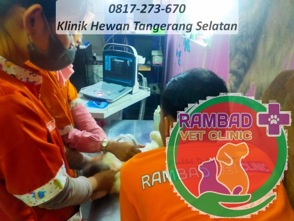 26 dokter hewan tangerang selatan.jpg