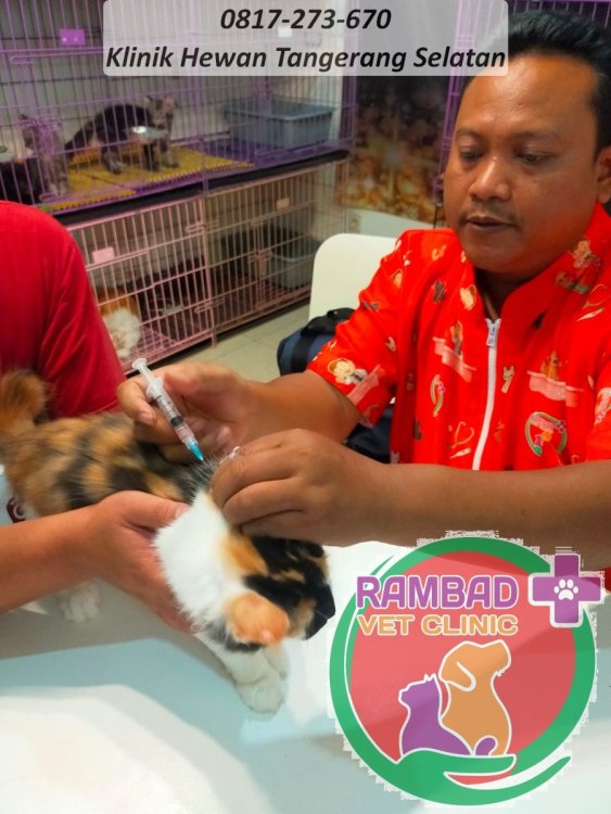 25 dokter hewan tangerang selatan.jpg