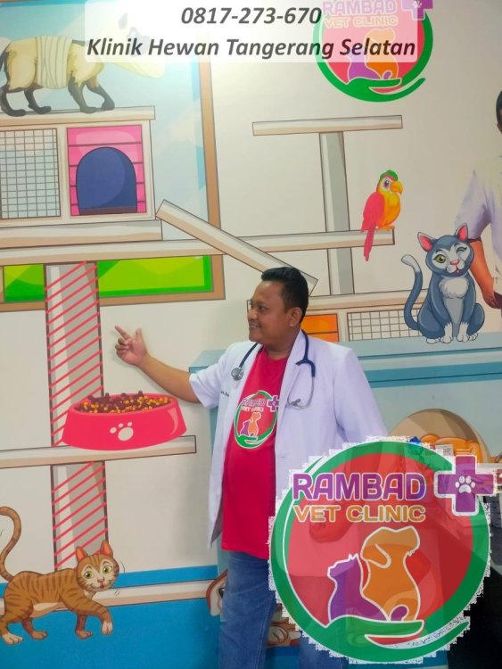 3 dokter hewan tangerang selatan.jpg