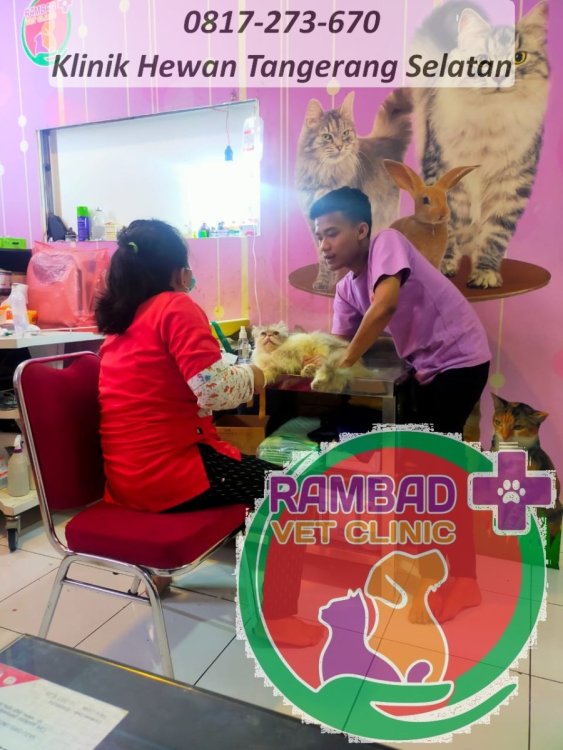 21 dokter hewan tangerang selatan.jpg