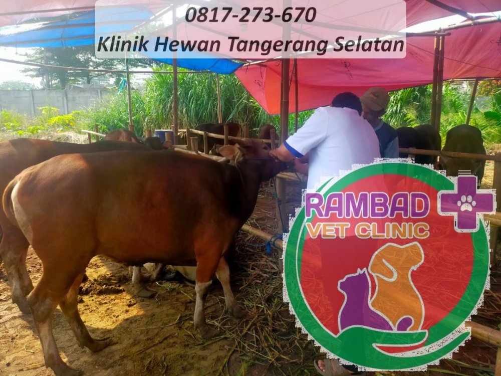 54 dokter hewan tangerang selatan.jpg