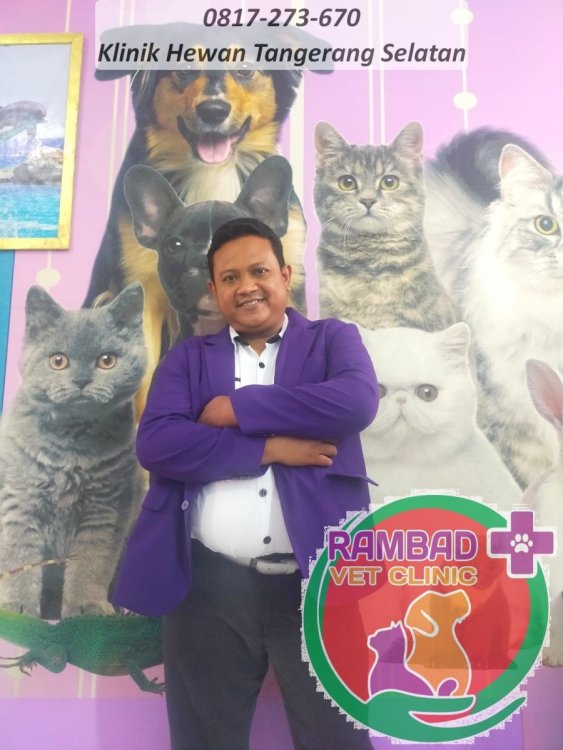 10 dokter hewan tangerang selatan.jpg