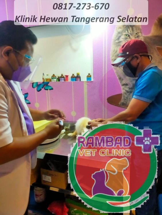 19 dokter hewan tangerang selatan.jpg