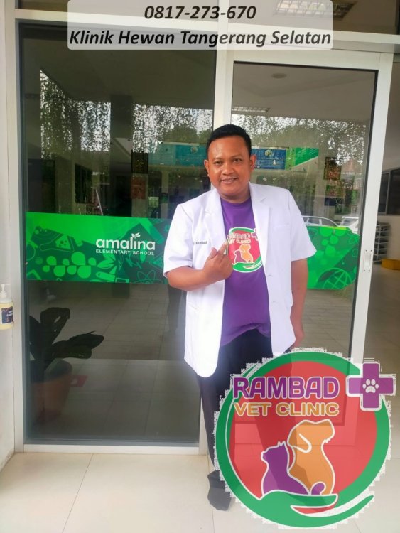 1 dokter hewan tangerang selatan.jpg