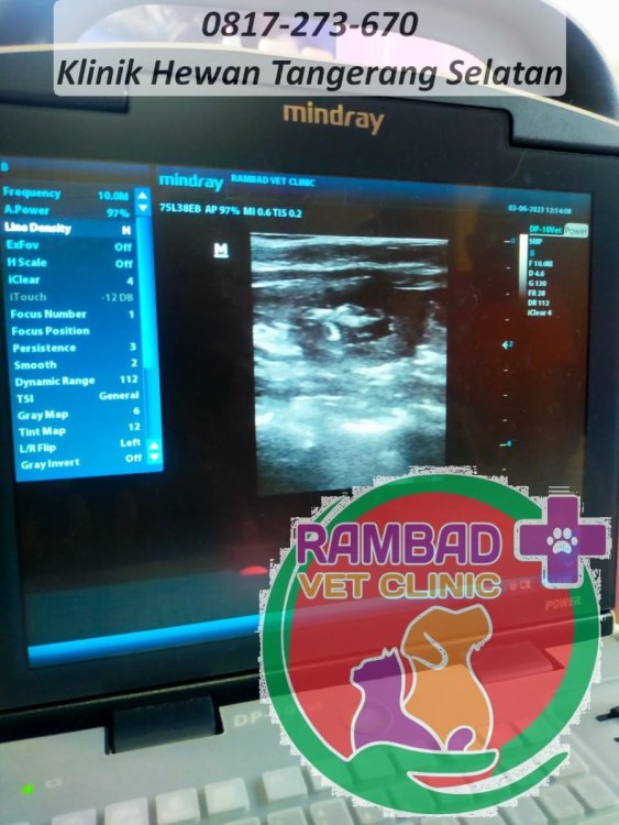 46 dokter hewan tangerang selatan.jpg