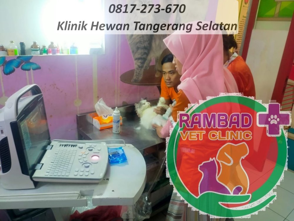 55 dokter hewan tangerang selatan.jpg