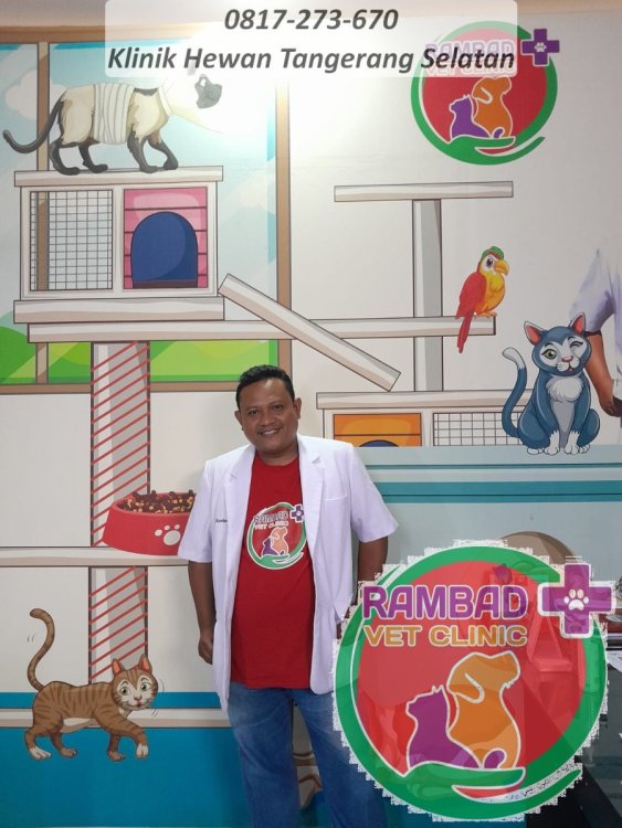 11 dokter hewan tangerang selatan.jpg