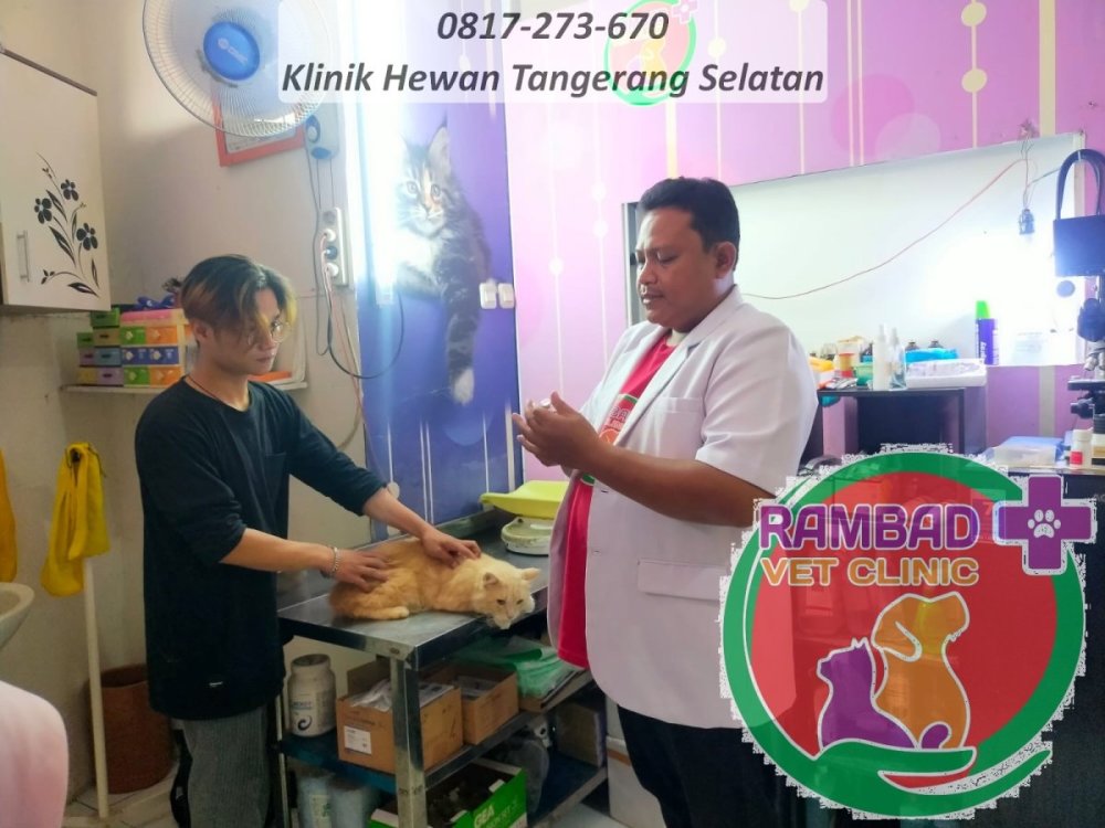 48 dokter hewan tangerang selatan.jpg