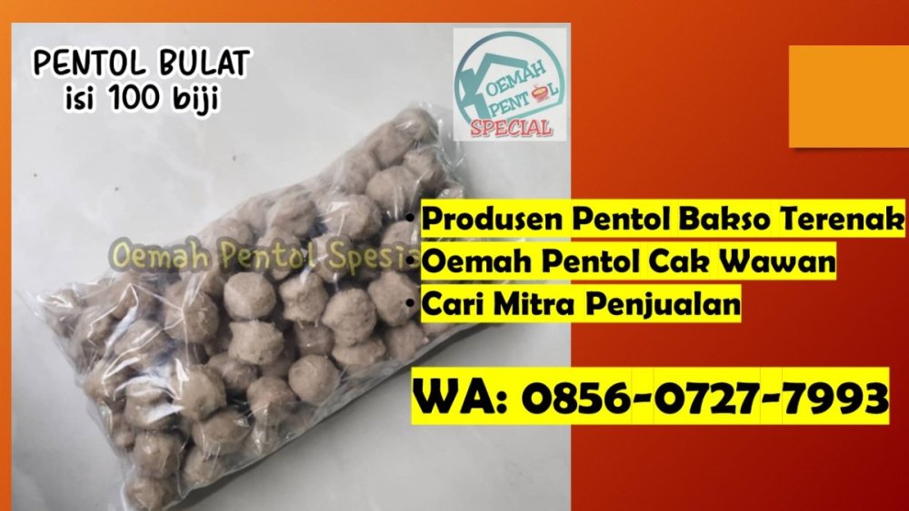 Buka Kemitraan! WA 0856-0727-7993 Pabrik Pentol Bakso Solo Sidoarjo.JPG