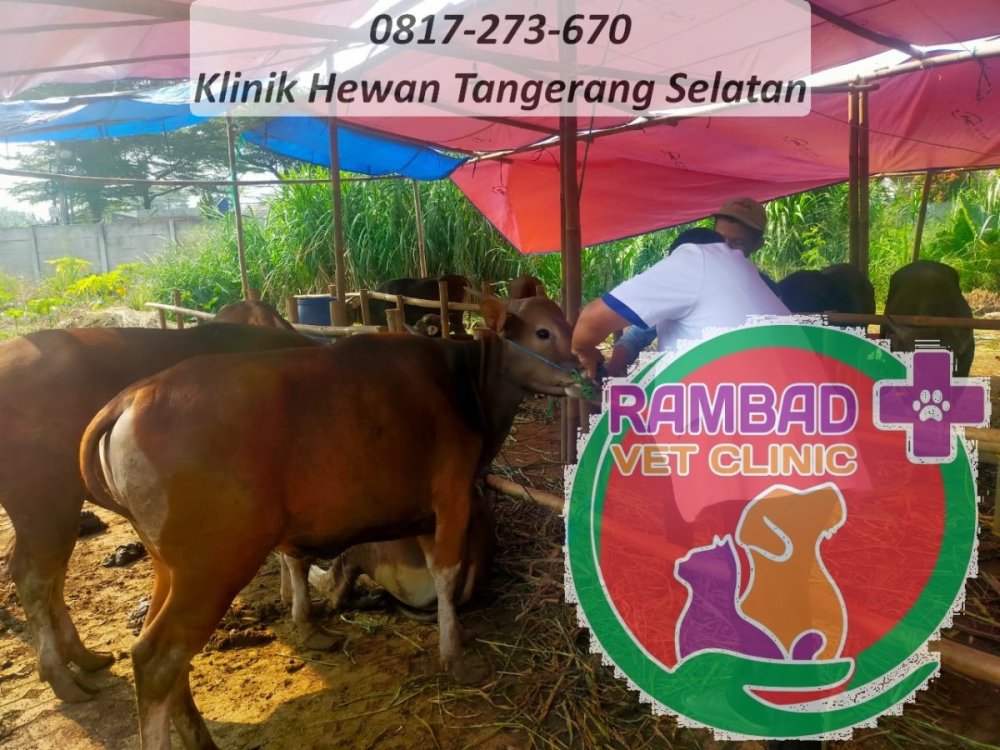 5 dokter hewan tangerang selatan.jpg