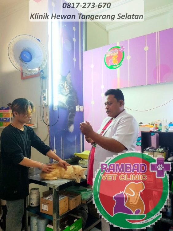 56 dokter hewan tangerang selatan.jpg