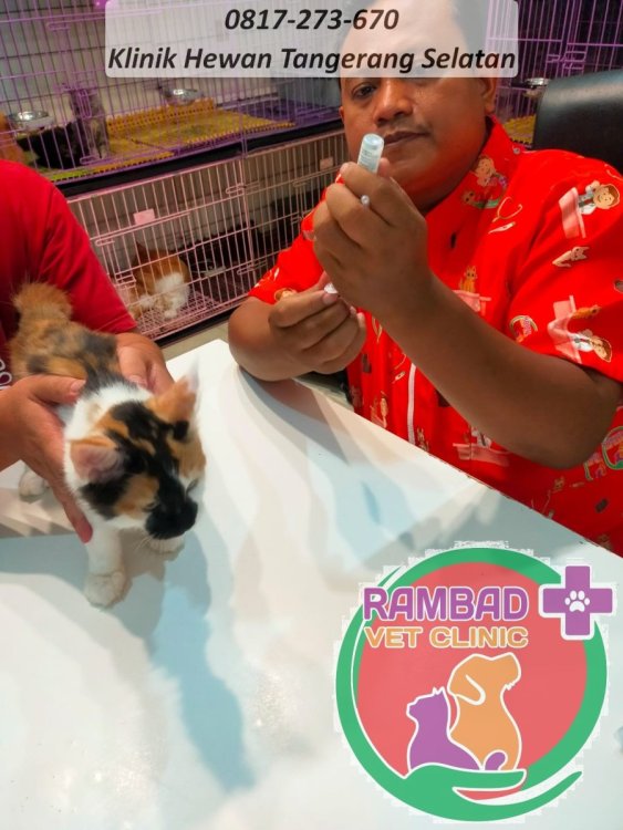 24 dokter hewan tangerang selatan.jpg