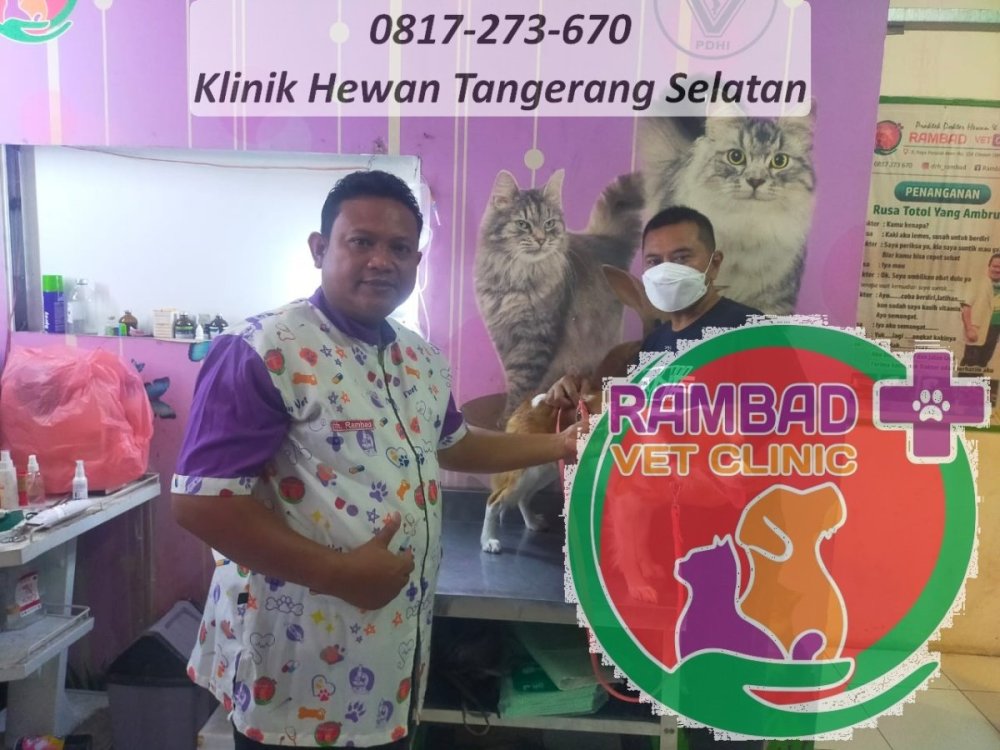 17 dokter hewan tangerang selatan.jpg