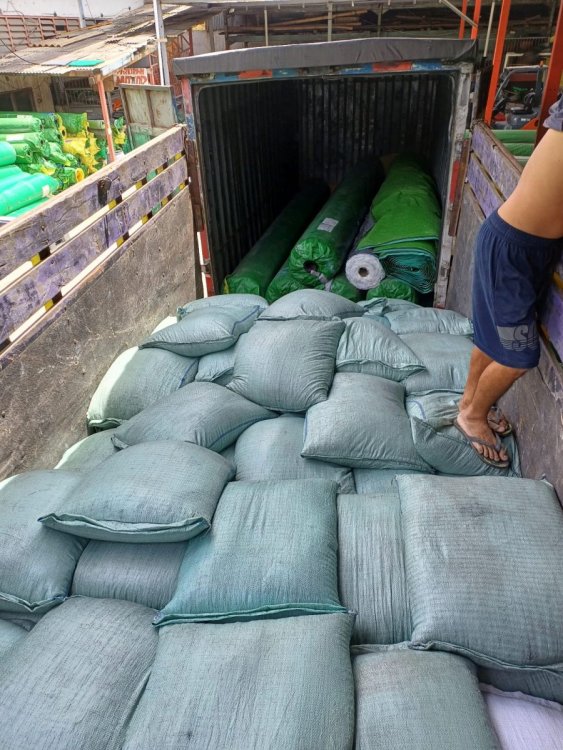 WhatsApp Image 2024-03-01 at 11.31.26.jpeg