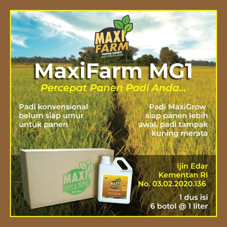 MaxiFarm-Pertanian-02.jpg