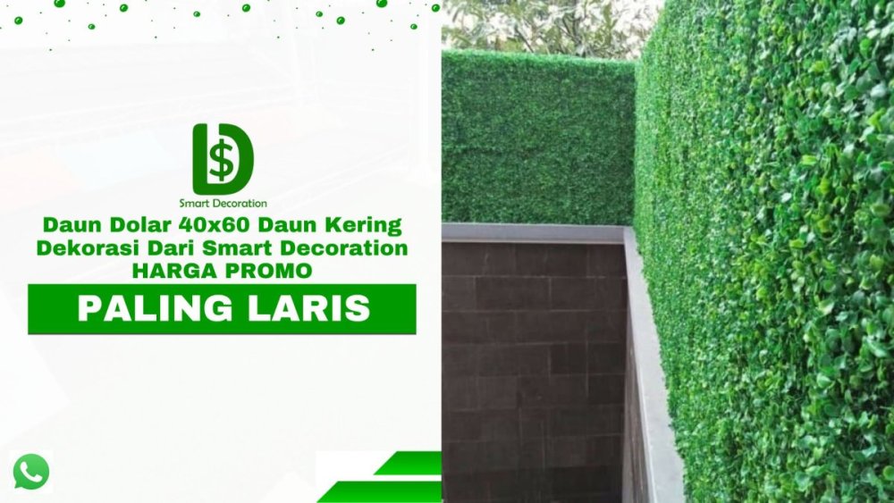 Daun Dolar 40x60 Daun Kering Dekorasi Dari Smart Decoration HARGA PROMO (1).jpg
