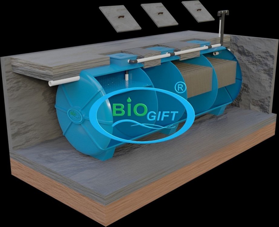 448024718_122152226996222423_2891499089671062176_n (1).jpg