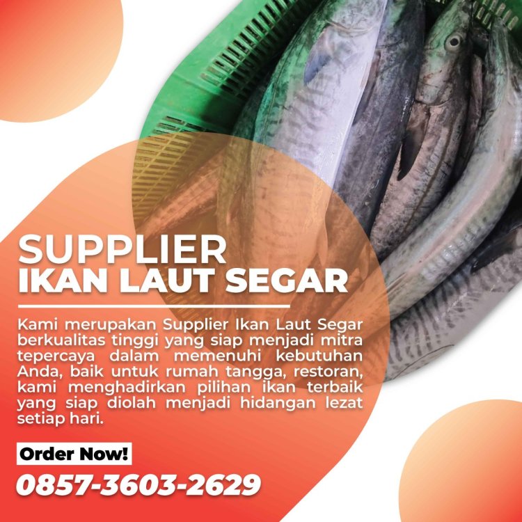 Agen Ikan Laut Segar Terbaik.jpg