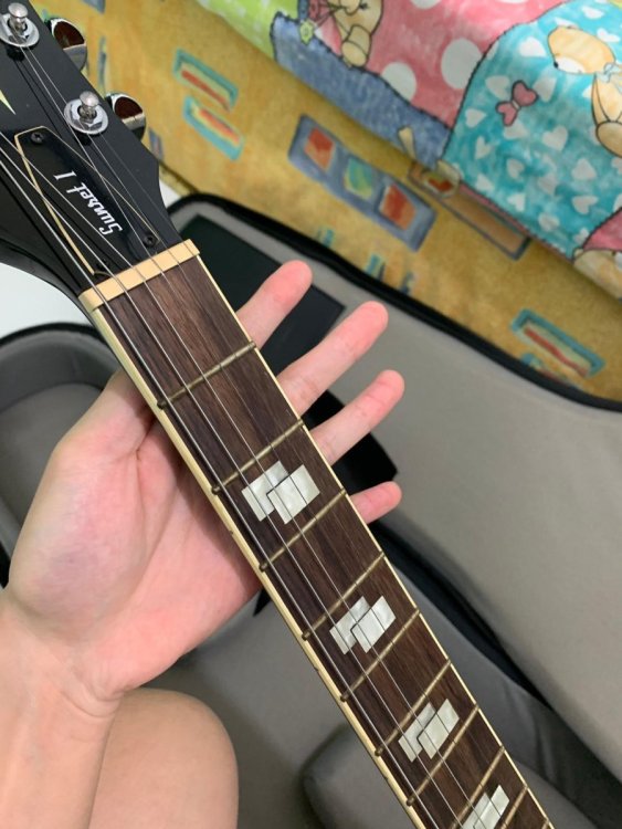 WhatsApp Image 2024-09-06 at 07.56.03_04dcc777.jpg