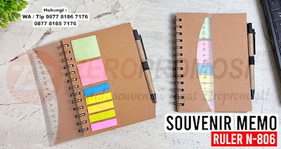 Souvenir Memo Ruler N-806 a.jpg